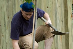 planting_tree.jpg