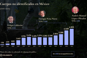 grafico 1.png