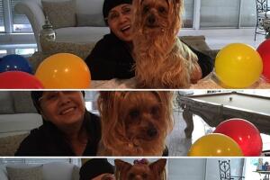 Famosos con sus perros 