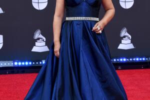 The 20th Annual Latin GRAMMY Awards - Arrivals