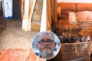 Michael Moore 26 perros rescatados mascotas crueldad animal san antonio texas