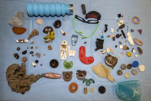 Zoologico /14KD[1].jpg