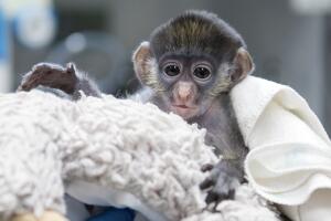 MONITO GALERIA/MONITO-6.jpg