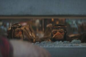 Babu Frik - The Mandalorian trailer Temporada 3.jpg