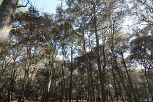 Irán Castillo y José manuel Figueroa