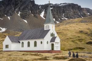 2017 Comedy Wildlife Photography Awards - Final 40