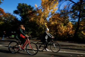 Mejores lugares para disfrutar la llegada del otoño en Nueva York