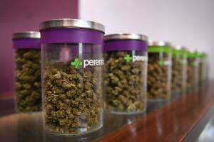 Marihuana en California