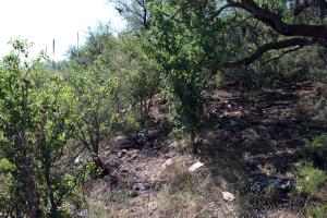 Desechos frontera.jpg