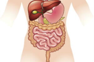 sangue-nas-fezes-1.jpg