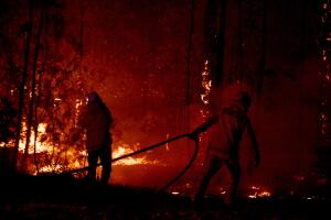 Multiple Bushfires Burning At Emergency Level Across NSW Following Death Of Volunteer Firefighter