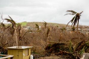 Huracán María Vieques