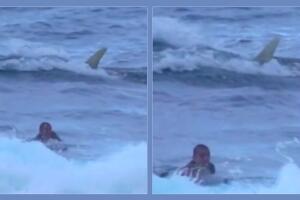 surfista tiburon playa middles puerto rico