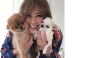 thalia y sus amores perrunos
