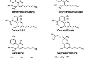 Cannabinoides