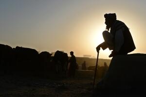 las mejores fotos de Shah Marai
