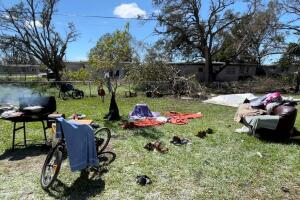 Tojil garden Port Charlotte