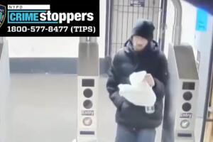empuja hombre tren metro policia nueva york