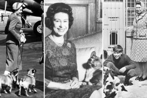 La reina Isabel II y sus perros a través de los años