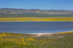 Exploring Carrizo Plain National Monument