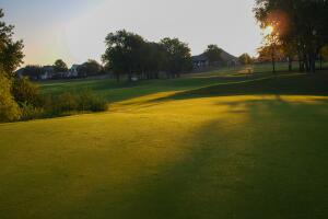 Sunrise over 20th green at golf course