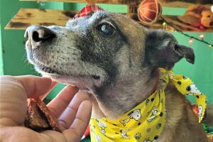 Sasfapr - Chillin.jpg