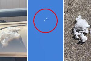 Descubre el curioso fenómeno en California donde telarañas con crías de araña están cayendo del cielo, sorprendiendo a los residentes y despertando la imaginación.