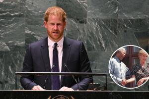 Príncipe Harry na ONU