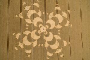 crop circles