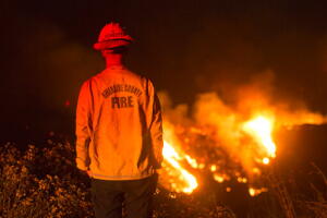California Wildfires