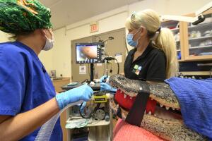 Zoologico /21AA[1].jpg