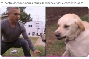 memes-renunciar-trabajo-tw (6).png