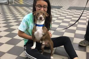 Chiquito regresa a casa