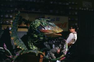 little-shop-of-horrors