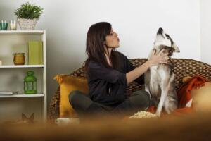Porque os cães uivam