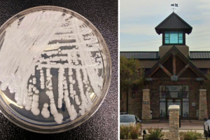 refugio animales Irving cierra bacteria