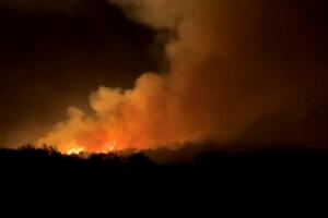 Incendio Freeman avanza sin contención al sur de Arizona, quemando más de 28 acres