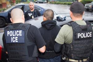 Immigration California