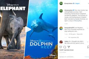 Disneynature