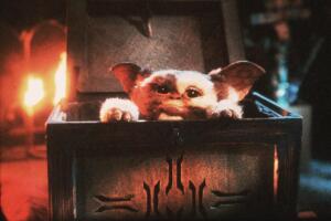 Gizmo Gremlins (2).jpg