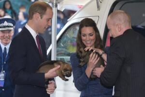 NZEALAND-BRITAIN-AUSTRALIA-ROYALS