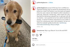 Beacon perrito de apoyo emocional JJOO