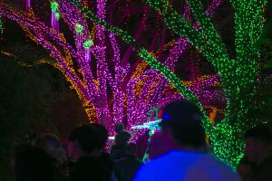 ZooLights6.jpg