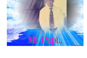 DiaDelPadrePics/AZ Dominga Fuentes.png