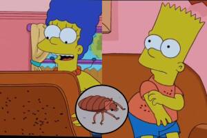 Episodio de 'Los Simpson' predijo la plaga de chinches