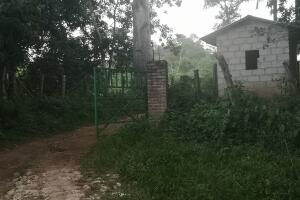 Nery's hacienda.jpeg