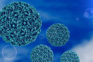virus-hpv-0217-1400x800.jpg