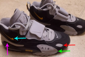 Zapatilla bombas caseras Capitolio sospechoso