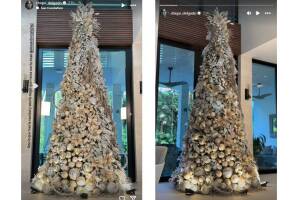 Chiquinquirá Delgado presumió su árbol de Navidad