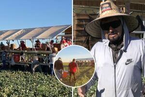Trabajadores agrícolas trabajan bajo el calor de California a pesar de tantas adversidades.